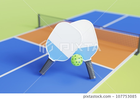 pickleball paddle and court 107753085