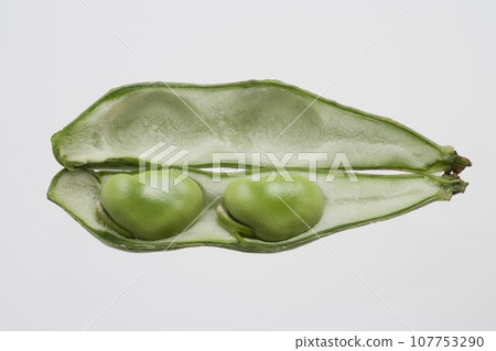 蠶豆 107753290