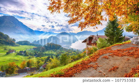 Exciting autumn view on suburb of Stansstad city and Lucerne lake with mountaines and fog 107753383