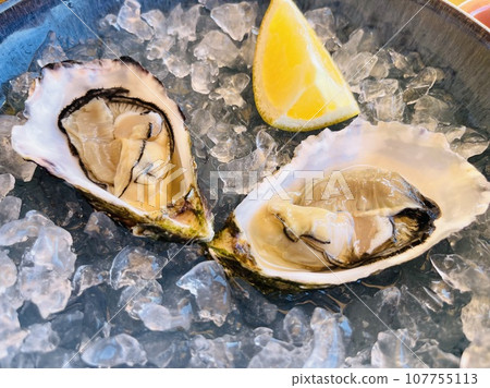 Fresh oysters and white wine on a wooden table, Algarve, Portugal 107755113