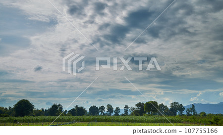 Time-lapse cloud before storm above summer landscape 107755166