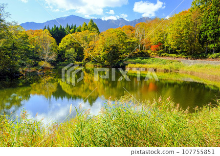 Amaike of autumn leaves Amaike of autumn leaves 107755851