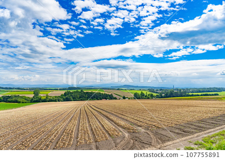北海道美瑛町美瑛的夏日風景 北海道美瑛町美瑛的夏日風景 107755891