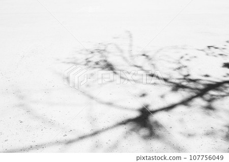混凝土路面反射的樹枝陰影背景，硬色調單色 107756049