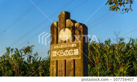 成川花園我們的廣場 成川花園我們的廣場 107756407