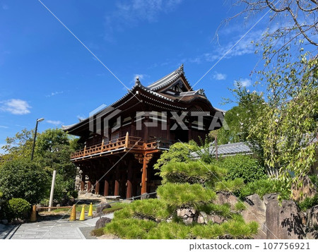綠樹成蔭的茨城市總持寺 綠樹成蔭的茨城市總持寺 107756921