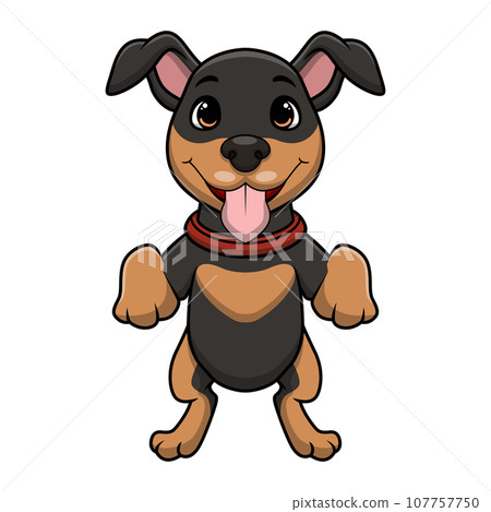 Cute german shepherd dog cartoon on white background Cute german shepherd dog cartoon on white background 107757750