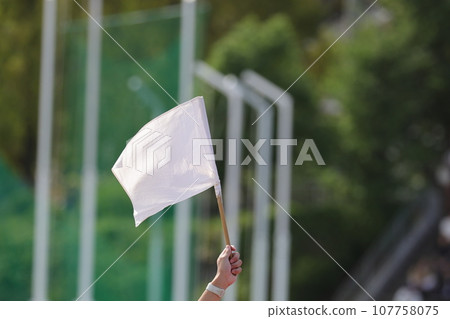 Sports day  107758075