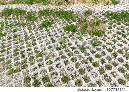 人工斜坡01 107758151