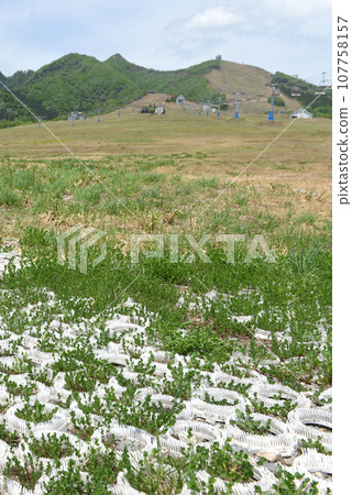 人工斜坡03 107758157