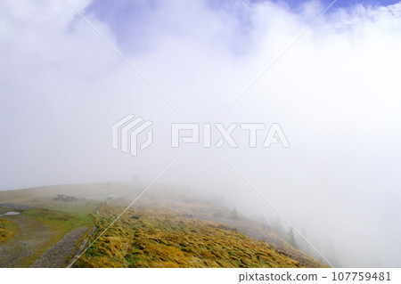 霧氣繚繞的大賀嶽山頂附近(美原高原) 霧氣繚繞的大賀嶽山頂附近(美原高原) 107759481