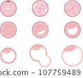 Process of human embryonic development 107759489