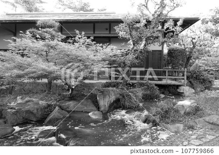 花白紀念公園日本花園 107759866