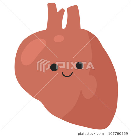 Human body anatomy infographic of structure of human organs Human body anatomy infographic of structure of human organs 107760369