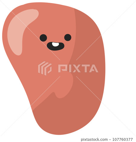 liver organ cute design Human body anatomy infographic of structure of human organs liver organ cute design Human body anatomy infographic of structure of human organs 107760377