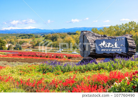 [Hokkaido] Biei town Zerubu no Oka 107760490