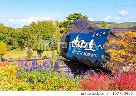 [Hokkaido] Biei town Zerubu no Oka 107760496