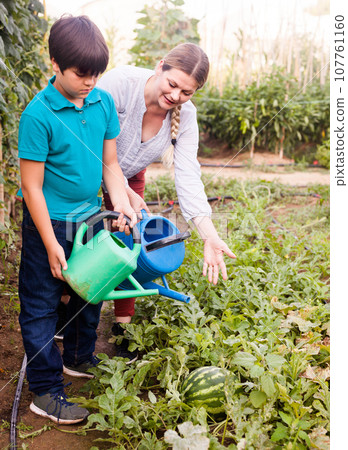 Little boy with mother watering melon seedlings with watering pot Little boy with mother watering melon seedlings with watering pot 107761160