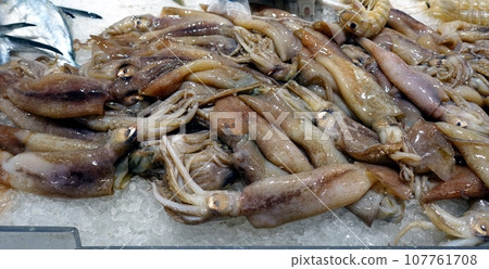 Squid piled up on a fish market stall. 107761708