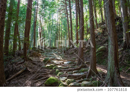 世界遺產「熊野古道伊勢路」松本通 世界遺產「熊野古道伊勢路」松本通 107761818