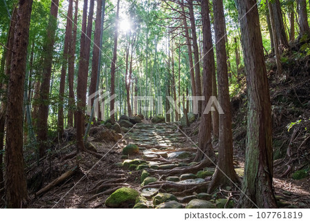 World Heritage Site “Kumano Kodo Iseji” Matsumoto Pass World Heritage Site “Kumano Kodo Iseji” Matsumoto Pass 107761819