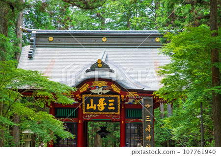 Mitsumine Shrine, Zuishinmon, approach, midsummer scenery, Chichibu City 107761940