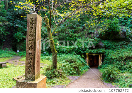 Iwami Ginzan Silver Mine, World Heritage Site, Shimane Prefecture, Ryugenji Temple Entrance 107762772