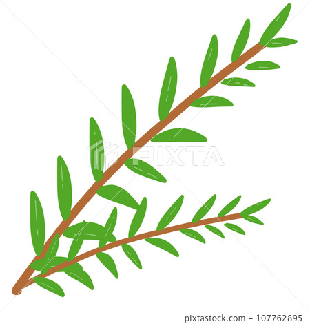 clipart of leaf 107762895