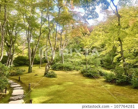 京都綠樹成蔭的大河內山莊花園 2 107764281