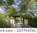 京都美麗的樹木和寺廟大門 2 107764741