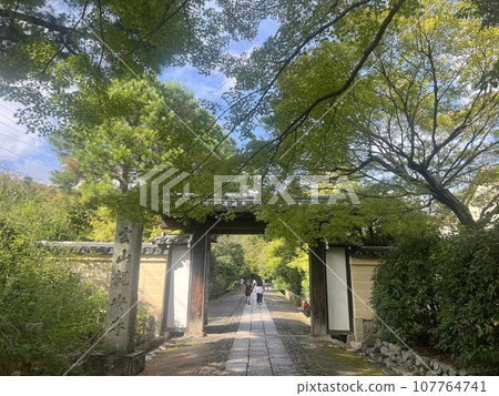 京都美麗的樹木和寺廟大門 2 京都美麗的樹木和寺廟大門 2 107764741