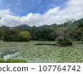 金閣寺的池塘 107764742