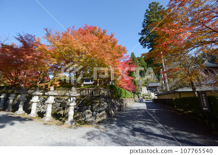 和歌山縣高野町德川家祭壇參道高野山金剛峰寺 107765540