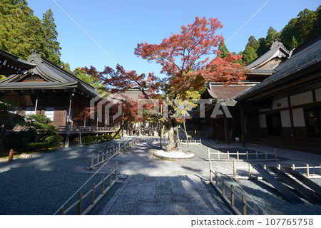和歌山縣高野町高野山金剛峰寺龍泉院 107765758