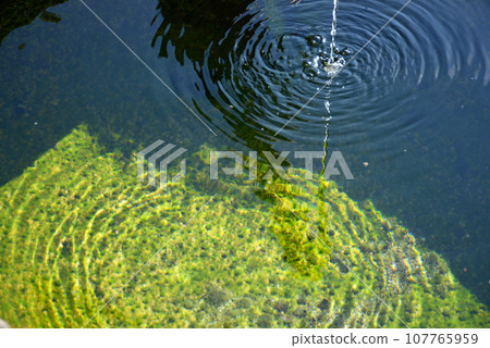 和歌山縣高野町高野山金剛峰寺長足缽 和歌山縣高野町高野山金剛峰寺長足缽 107765959