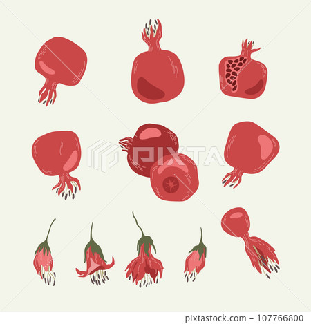 Set of grenade fruits and flowers. Pomegranates 107766800
