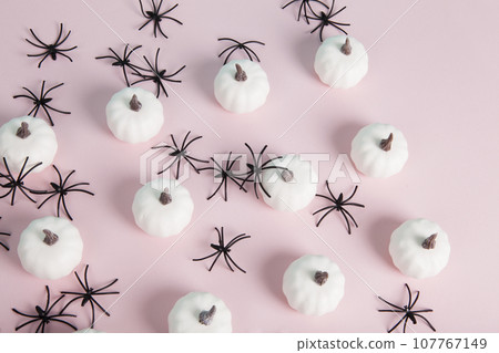 white mini pumpkins aligned symmetrically in the middle of a spider infestation 107767149