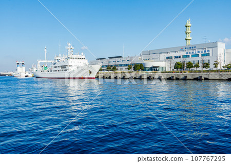 [神奈川的城市景觀] 港口未來（橫濱海上防災基地）週邊的城市景觀 107767295