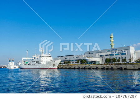 [Urban landscape of Kanagawa] Urban landscape around Minato Mirai (Yokohama Maritime Disaster Prevention Base) 107767297