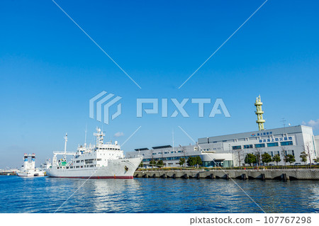[神奈川的城市景觀] 港口未來（橫濱海上防災基地）週邊的城市景觀 107767298