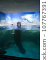 密封站在水中 107767391