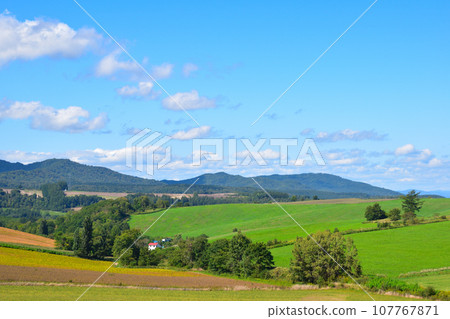 Hill Town Biei Town Hill Town Biei Town 107767871