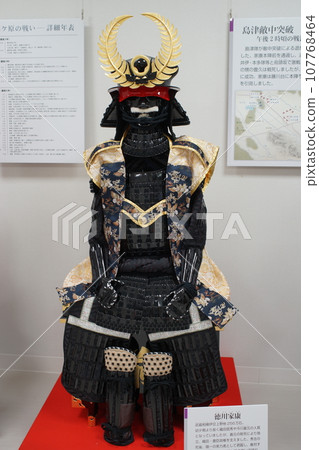 Tokugawa Ieyasu armor (reproduction) 107768464