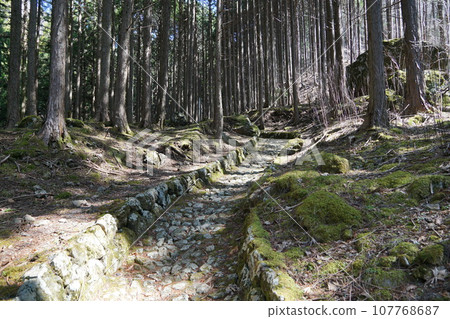 通往 Seikore Pass - Shio no Michi 的古老鵝卵石路 通往 Seikore Pass - Shio no Michi 的古老鵝卵石路 107768687