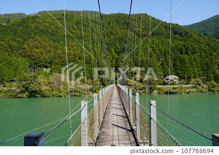 Minesawa Bridge spanning the Tenryu River in Hamamatsu City, Shizuoka Prefecture 107768694