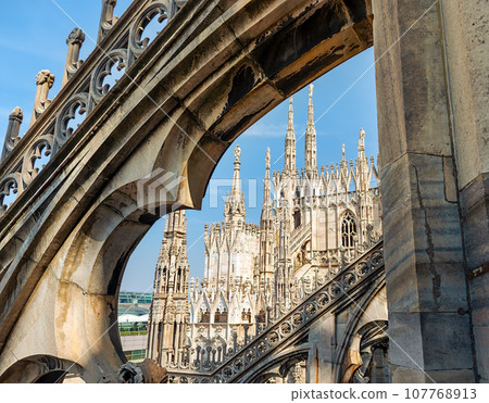 Terraces of Cathedral and roof 107768913