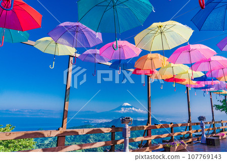 (Shizuoka Prefecture) Izu Panorama Park Umbrella Sky 2019 107769143