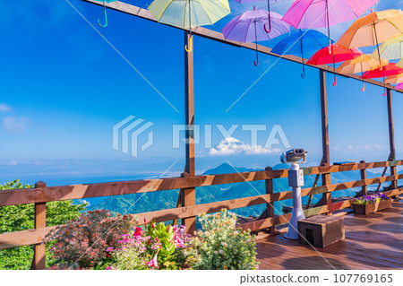 (Shizuoka Prefecture) Izu Panorama Park Umbrella Sky 2019 107769165
