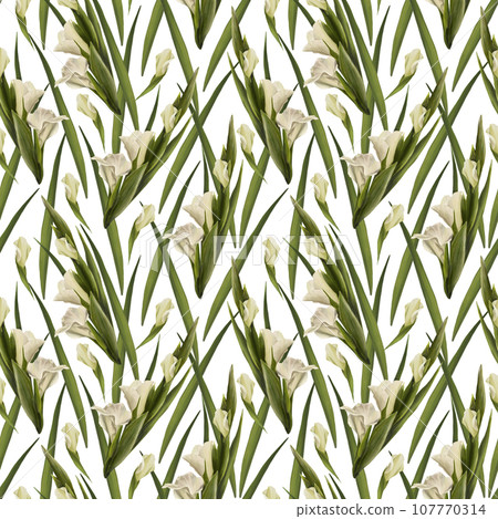 Watercolor gladioluses plant seamless pattern, hand drawn digital floral illustration of white flowers, buds and leaves. Isolated white background.Repeating design for print, wallpaper, wrapping paper 107770314