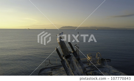 Close-up of old and destroyed ship trunk and gull sitting on a rusty pipe against the sunset sky. Shot. Marine landscapes Close-up of old and destroyed ship trunk and gull sitting on a rusty pipe against the sunset sky. Shot. Marine landscapes 107770843